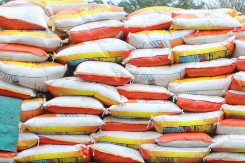 Riz : les opérateurs sommés d’importer 150 000 tonnes en fin 2023, malgré le discours sur l’import-substitution