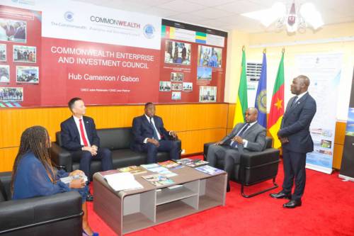 Coopération: LE HAUT-COMMISSAIRE DE GRANDE BRETAGNE VISITE LE CWEIC- HUB AU CNCC
